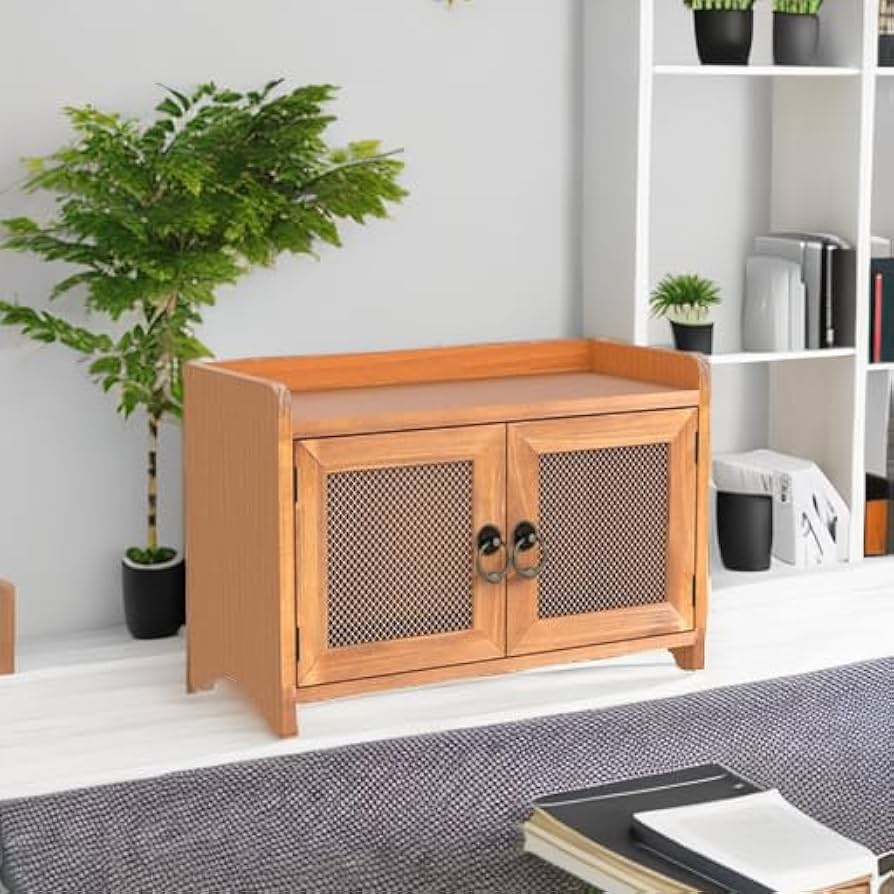 Amazon.com: COLLECTIVE HOME - Storage Cabinet, Mini